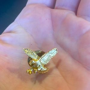 American Eagle Pin